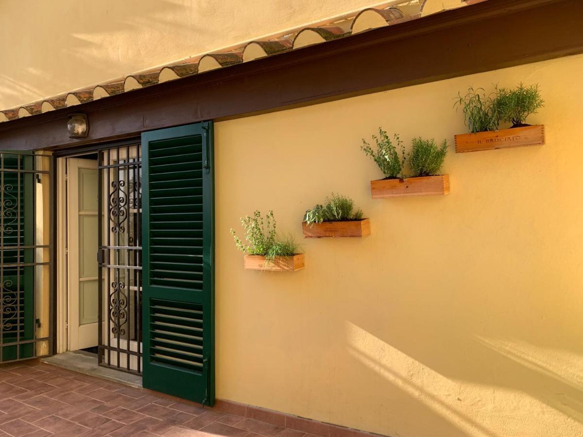 La Terrazza Di Via Elisa Bed & Breakfast Lucca Exterior photo