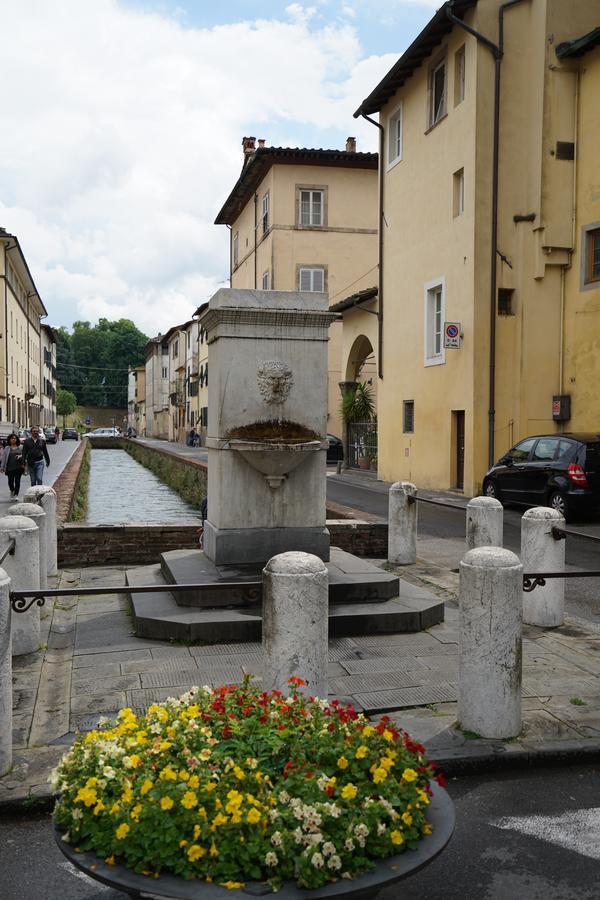 La Terrazza Di Via Elisa Bed & Breakfast Lucca Exterior photo